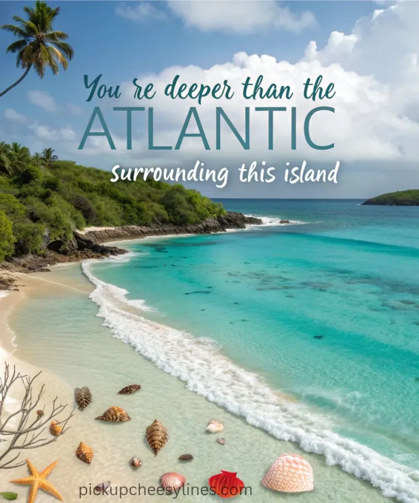 beach-and-ocean-themed-bermuda-lines