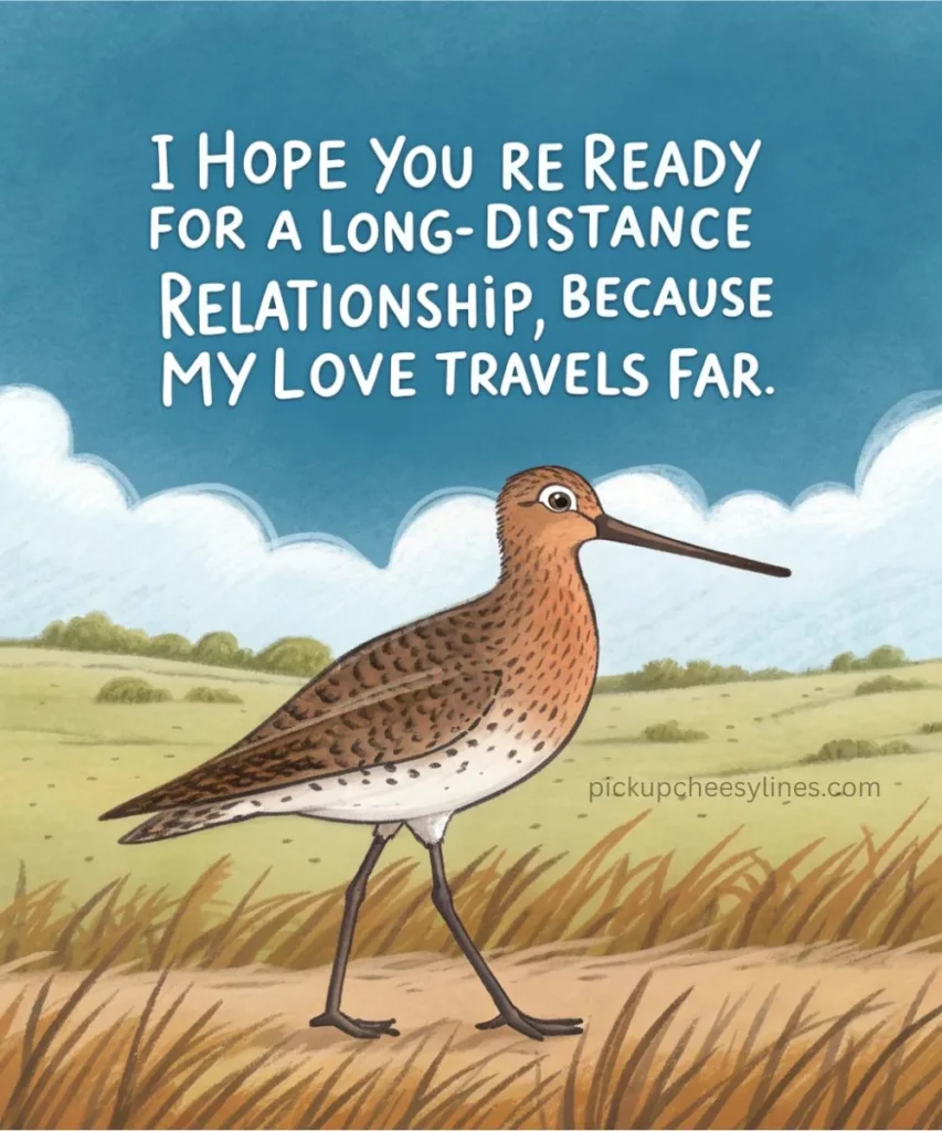 flirty-godwit-pickup-lines