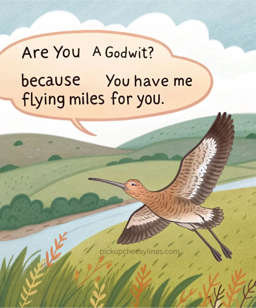 long-flight-godwit-pickup-lines