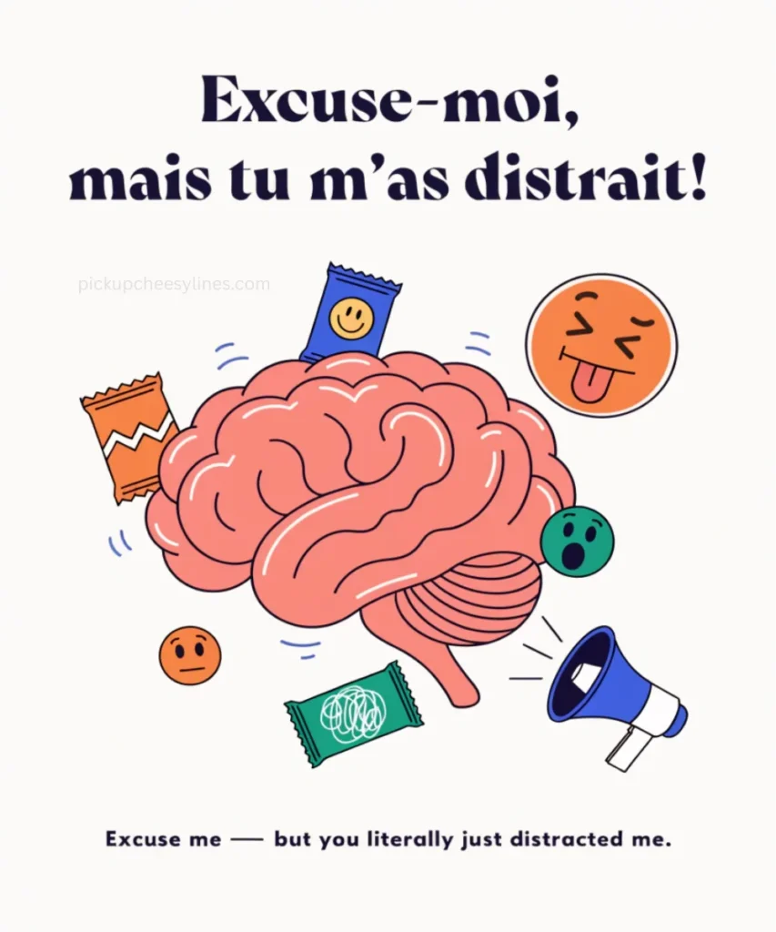 sarcastic-french-pickup-lines