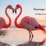 best-flamingo-pick-up-lines