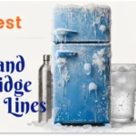 best-fridge-pickup-lines