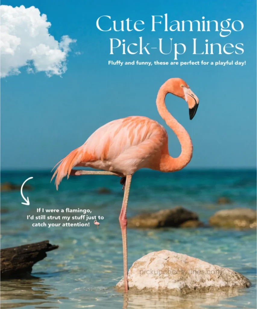 cute-flamingo-pick-up-lines