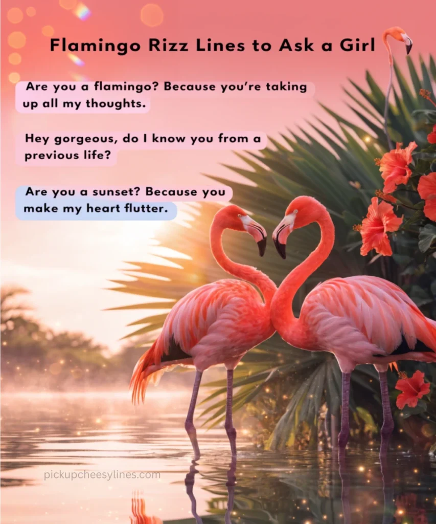 flamingo-rizz-lines-to-ask-a-girl
