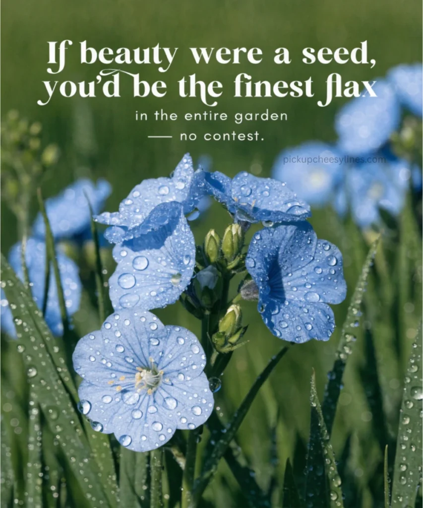 flax-pickup-lines-for-her