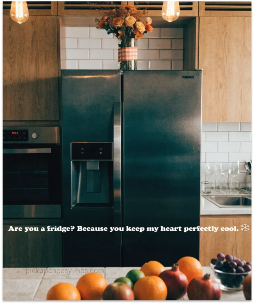 fridge-pickup-lines-for-him